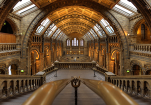 National History Museum - London